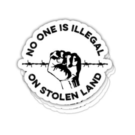 3 Pcs - No One is Illegal On Stolen Land Sticker Immigrants USA Political Gift Native American Equality Stickers Decoration for Laptop Water Bottle Phone Car Bumper Window Helmet