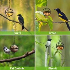 6Pcs Fat Ball Feeder, Bird Feeders Hanging Station with S-Shaped Hooks, Squirrel Proof Metal Suet Balls Bird Feeder Holder, Outdoor Garden Wildlife Small Birds Finch Sparrow Robin Feeding