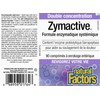 Natural Factors - Zymactive® Double Strength, 90 Enteric Coated Tablets