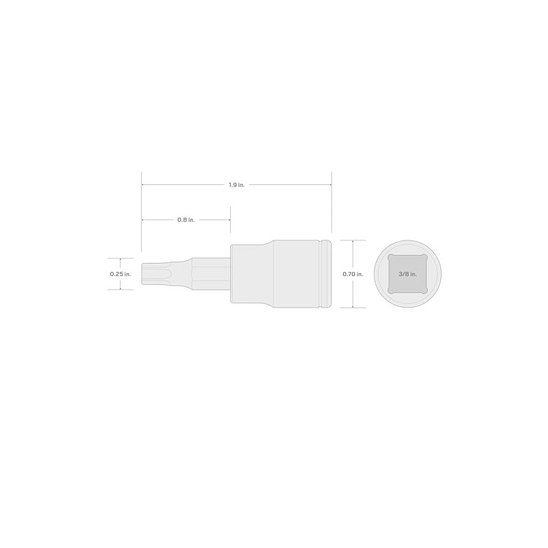 TEKTON 3/8 Inch Drive x T30 Torx Bit Socket |