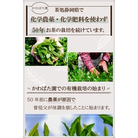 Green Tea, No Pesticides, Catechin Green Tea, Shizuoka Tea, Ichiban Tea, Japanese Tea, Yabuta, 3.5 oz (100 g)