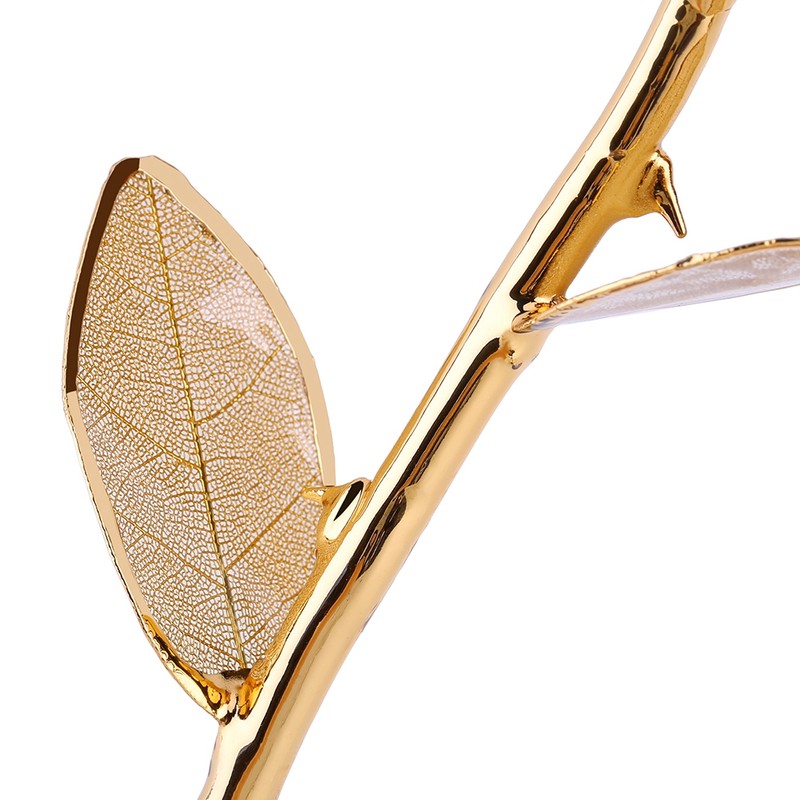 Rose Dipped in 24k Gold Forever Preserved Long Stem Rose