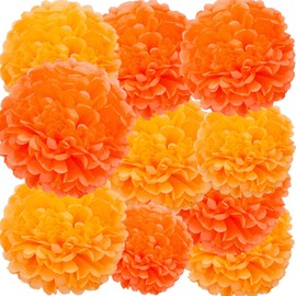 We Moment Orange Paper Pom Poms Decorations for Wedding Birthday Thanksgiving Orange Party DecorationCeiling Wall Hanging Tissue Flowers Decorations - 12pcs,2 Colors of 12 Inch, 10 Inch