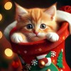 Orange kitten in a Christmas stocking. Digital art delivered on