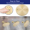 Lavatrum Brush Gold Shower Head and Handle Set Single Spray
