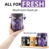 Smell Proof Container (500ml - 1 Oz), Mushroom Stash Jar