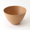 Kishu Lacquerware Kakuda Seibei Shoten Soup Bowl, Komorebi Multi-Ball, Made