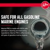 Sea Foam Marine PRO Marine Fuel System Treatment MP20, 20