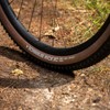 Schwalbe Rick XC Pro Tire - 29 x 2.40