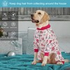 LovinPet Doberman type Dog Onesies, Pet Anxiety Relief, Anti Licking,