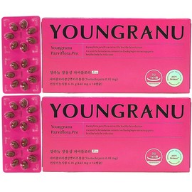 Youngranyu Fabiflora Enteric Coating Diet Total 28 Capsules / 영라뉴 파비플로라 장용성 다이어트 총 28캡슐