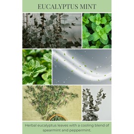 Eco Candle Co. Recycled Candle, Eucalyptus Mint, 6 oz. - Scents of Eucalyptus, Spearmint, & Peppermint - 100% Soy Wax, No Lead, Kraft Paper Label & Lid, Hand Poured, Made from Midwest Grown Soybeans