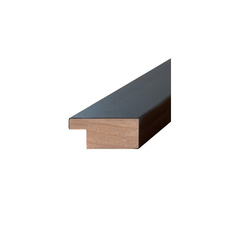 Conan the Barbarian Poster Framed