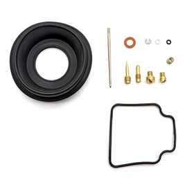Carburetor Repair Rebuild Kit for Polaris Trail Boss 330 325 Trail Blazer 330 Hawkeye 300 400 Worker 335 500 1999 Polaris Xplorer 500 1997 ATP 330 Big Boss 500 1998-2002 Carb