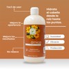 Acondicionador Con Extracto De Árnica Productos Mart Mexico 500 Ml
