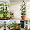 Kelived Garden Obelisk Trellis for Climbing Plants Adjustable, Rustproof Plastic