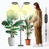 GLOWRIUM Indoor Grow Light, 40 Watt Full Spectrum LED Plant