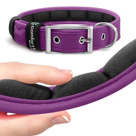Metric USA - Comfort fit Dog Collar with Buckle Soft Padded Adjustable Collars for Dogs Small Medium Large, Purple, Small (6.5"-9")