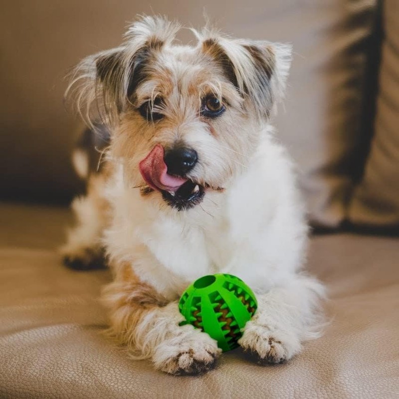 Dog Dental Chew Balls for Teeth Cleaning, Treat Dispensing, 6