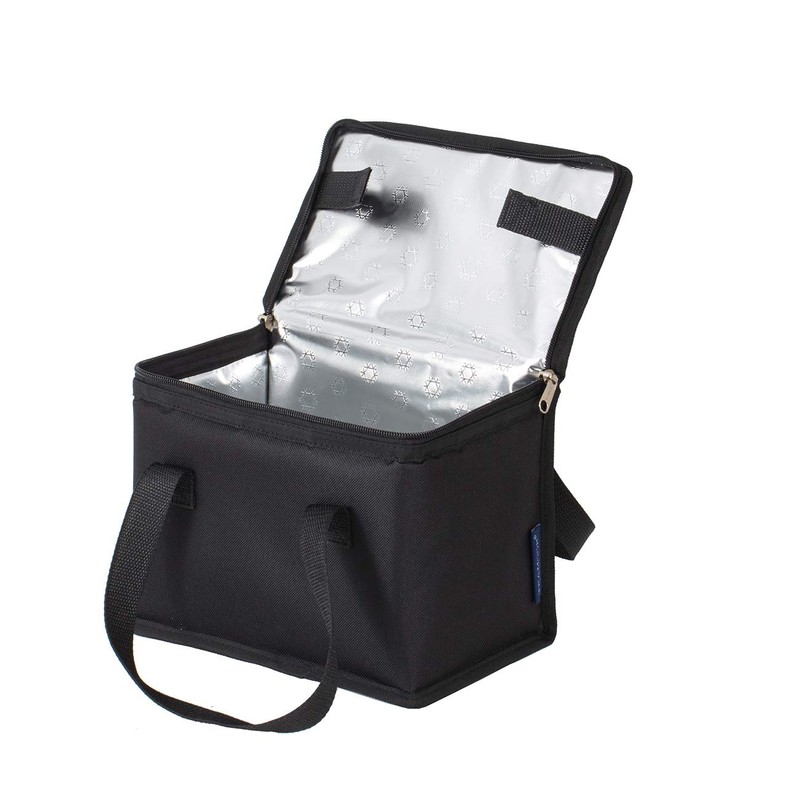 TEAMOOK Foldable Lunch Bag Insulated Lunch Box Water-Resistant Leakproof Soft