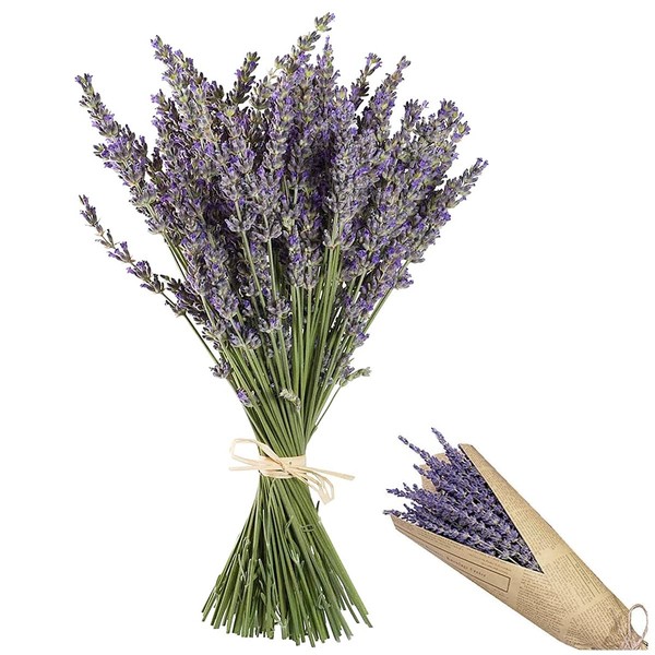 CHENKEE Dry Flowers, 120 g Dried Flowers Decorative Lavender Dried Natural Flowers Decorative Flowers Lavender Bundle Dry Flowers DIY Artificial Flowers Decoration for Balcony Garden Wedding Party