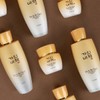 Gainbi Chek 가인비책 진 엑소좀 탄력 패키지 10종 단품 세트