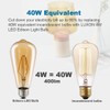 LUXON LED Edison Bulbs,Dimmable,4Watt(Equivalent 40W),2700K Warm White,ST64 Amber Glass Antique