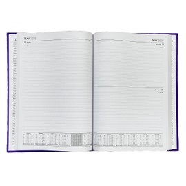 2025 diary A4 Day to a Page - PINK