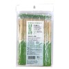 Yanagi Products T-123 Split Chopsticks, Individual Packaging, Bamboo Picks, 7.9