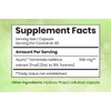 BBETTER UricUrja – Uric Acid & Gout Support Supplement –