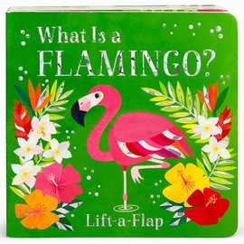 What is a Flamingo?