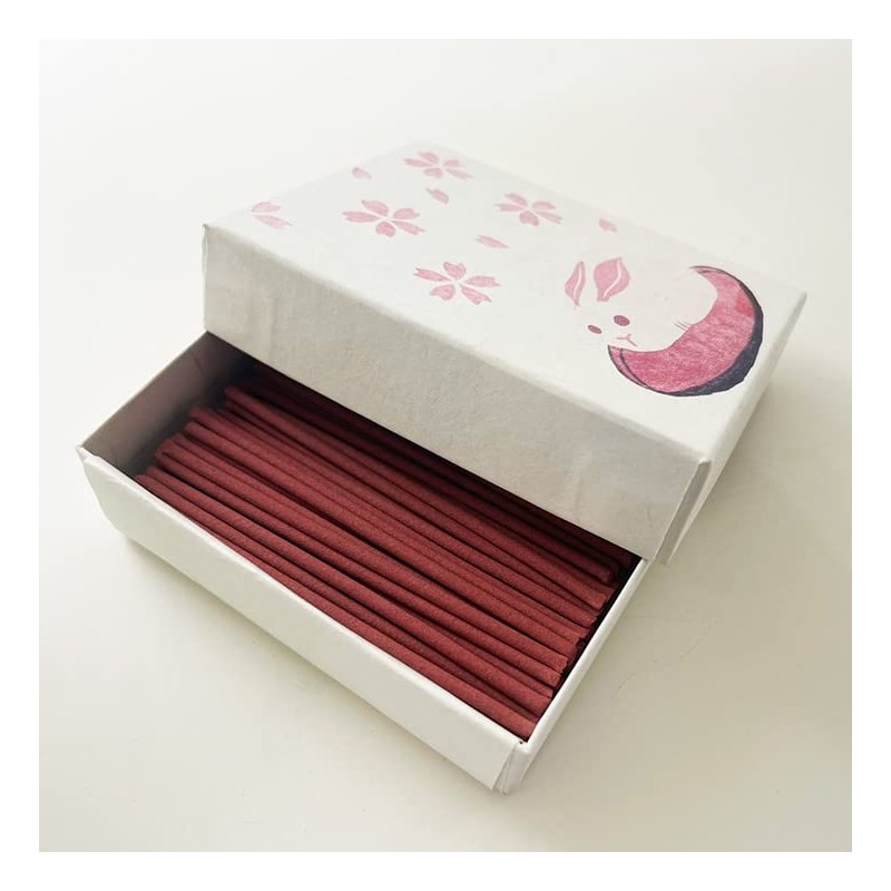香彩堂 HANGA Incense 10 Varieties Incense Sticks Incense Kyoto Stick