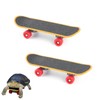 Yimluofa 2 PCS Turtle Skateboard Funny Reptile Skateboard Bird Parrot