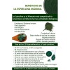 2 Bolsas De 500 Tab Spirulina Spiralshake(cacao Spirulina)