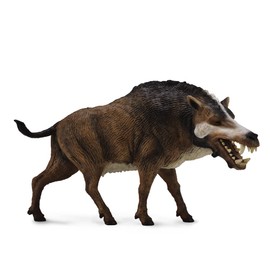 CollectA Dinozaur Daeodon Deluxe 1:20