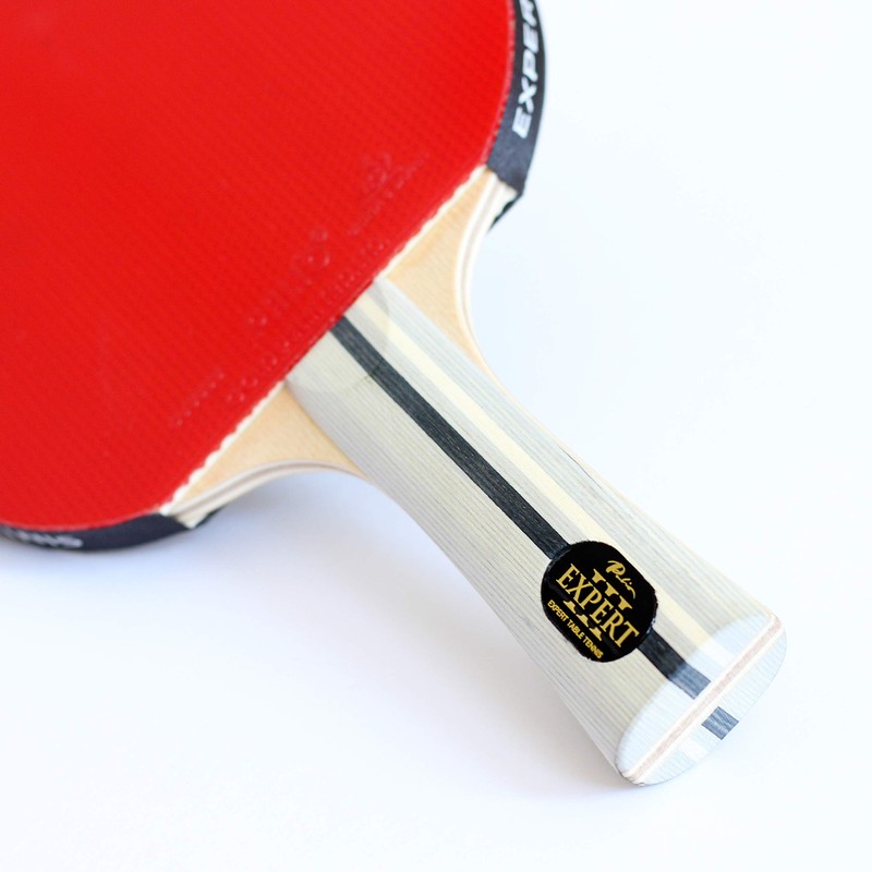 Palio Expert 3.0 Table Tennis Bat & Case | ITTF