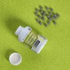 HEALTHADDICTION - 2 Pack Complejo de Espirulina, Chlorella y Moringa,
