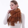 SWAT PANY Scarfs for Women Tan Pashmina Shawls and Wraps