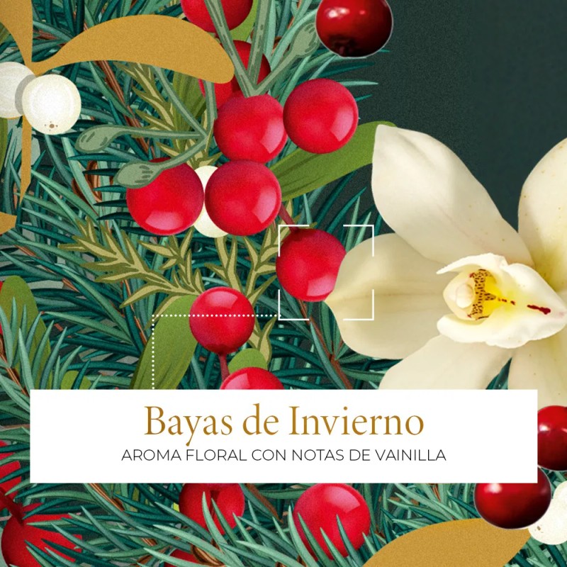 Maxi Gel De Ducha Corporal 400ml Yves Rocher. Navidad. Bayas