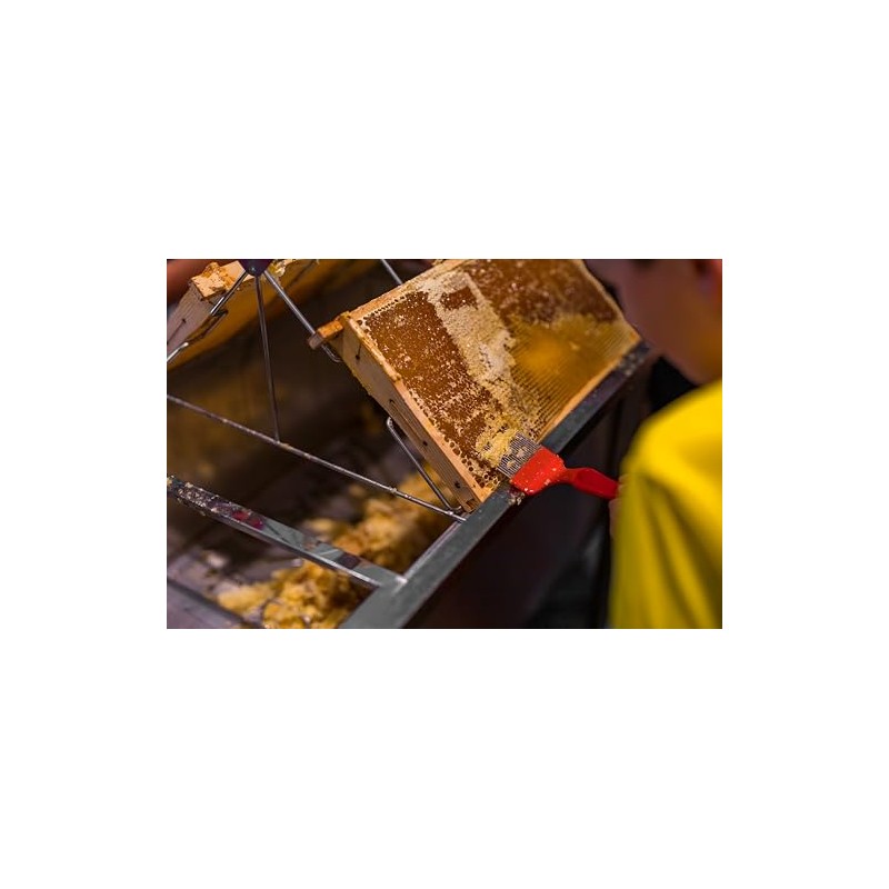 Bee Keeping Uncapping Fork, 18-Pin Stainless Steel Honey Extraction Tool