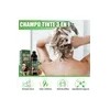 Shampoo Tinte Cubre Canas Marrón de MAGANIO, 500 mL