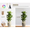 VALIKIY Hanging Grow Light, 20W Full Spectrum Pendant Grow Lights