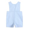 Lil cactus Light Blue Gingham Jon Jons Shortall, 2T