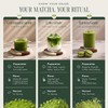 Té verde Polvo Orgánico Matcha Grado Ceremonial 30g