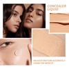NLFOX Under Eye Concealer - Concealer For Dark Circles -