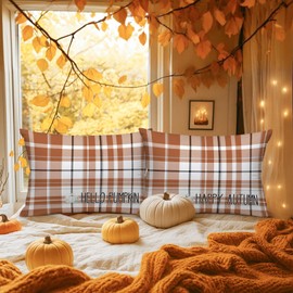 Benjia Fall Standard Pillowcase 20x26 Set of 2, Brown and White Checkered Decorative Lumbar Pillow Cases 20 x 26 Long Rectangle Standard Shams Throw Bed Pillow Covers Autumn Cushion Cover