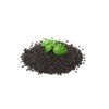 Semi di Basilico Bio 500G | Sazietà, Rinfrescanti, Ricchi di