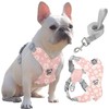 Pawaboo Small Dog Harness and Leash Set, Puppy Harness X-Frame