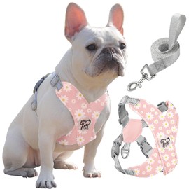 Pawaboo Small Dog Harness and Leash Set, Puppy Harness X-Frame No Pull No Choke, Dog Vest Harness Adjustable for Small Medium Sized Dogs,Soft Breathable Pet Harness for Walking Outing, L, Pink Daisy