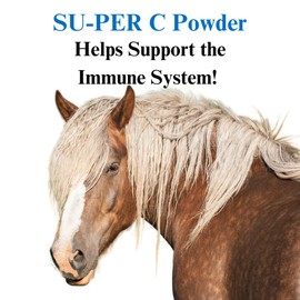 SU-PER C Vitamin C for Horses - Equine Antioxidant & Immune Support Supplement - Horse Vitamins & Minerals Supplement - 12.5 Pounds